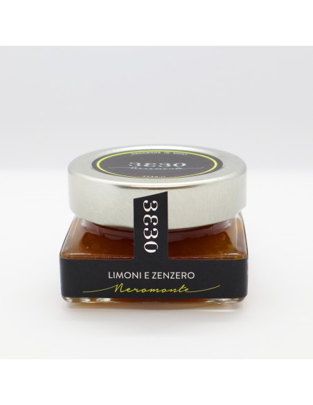 Marmellata Limoni e zenzero 60 gr