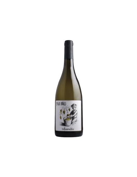 Catarratto Terre Siciliane IGP Sergio Drago 75 Cl