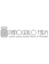 Pianogrillo srl